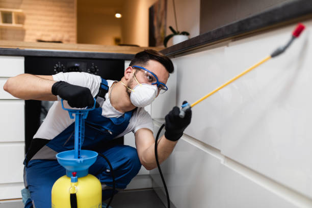 Best Cockroach Control Services  in Muscle Shos, AL
