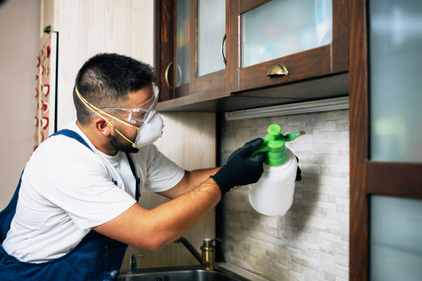 Best Pest Removal Services  in Muscle Shos, AL