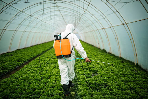 Best Best Pest Control Companies  in Muscle Shos, AL