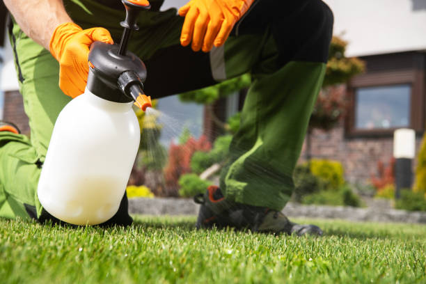 Best Emergency Pest Control  in Muscle Shos, AL