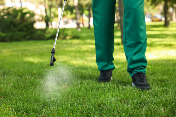 Best Wasp Removal Services  in Muscle Shos, AL
