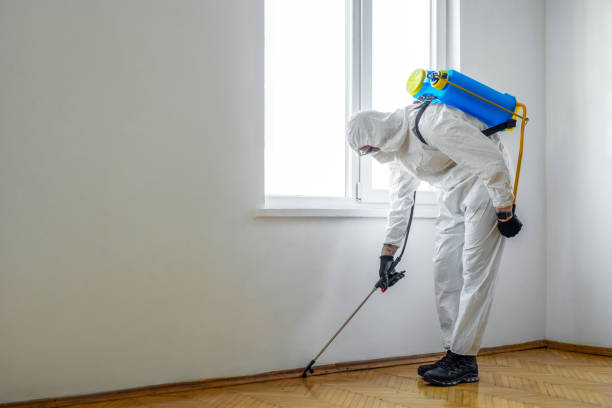 Best Ant Control Services  in Muscle Shos, AL