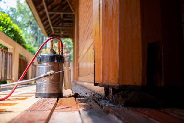 Best Pest Prevention Services  in Muscle Shos, AL