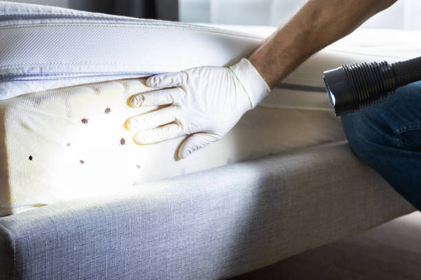 Best Pest Control for Homes  in Muscle Shos, AL