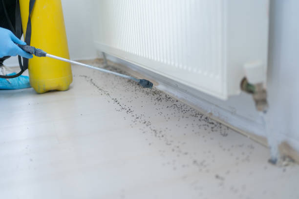 Best Pest Control Treatment  in Muscle Shos, AL